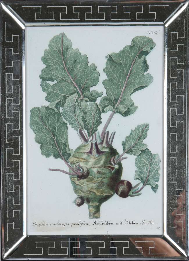 Johann Weinmann: c18th engravings of vegetables in mirror frames.