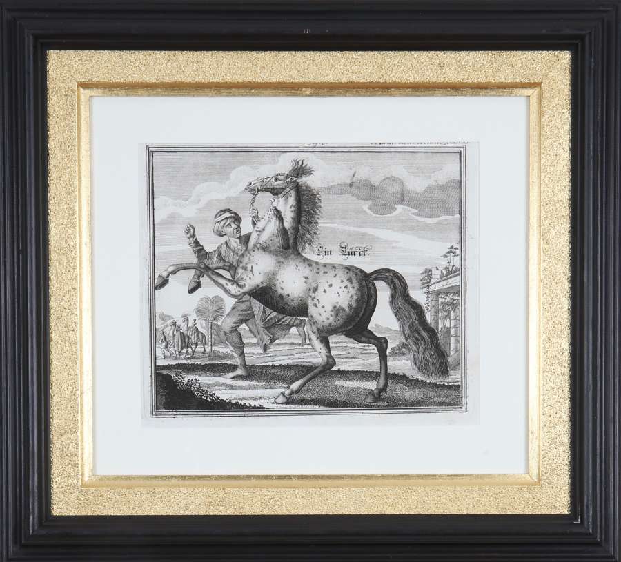 Georg Engelhard von Löhneisen: 18th Century Engravings of Horses